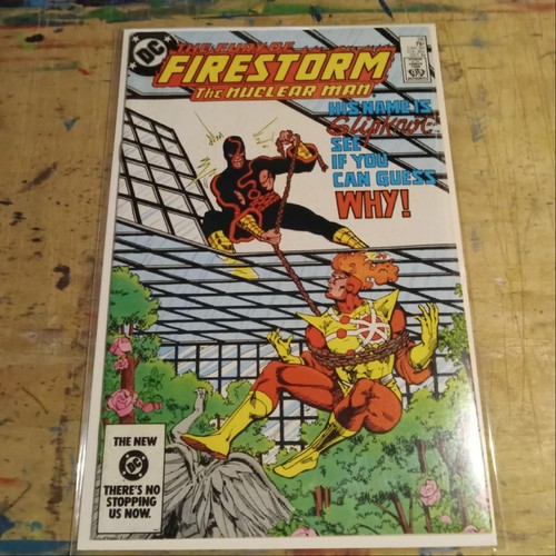 The fury firestorm - firestorm,