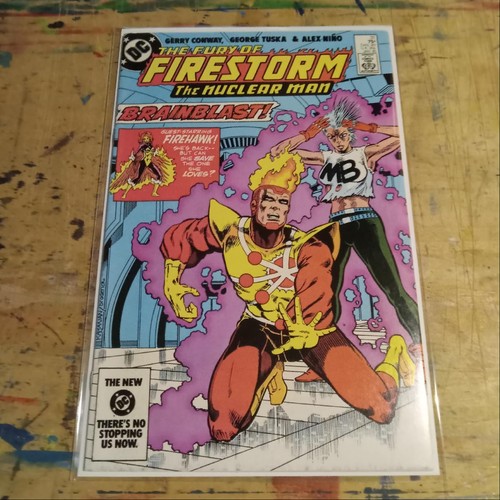 The fury firestorm - the,